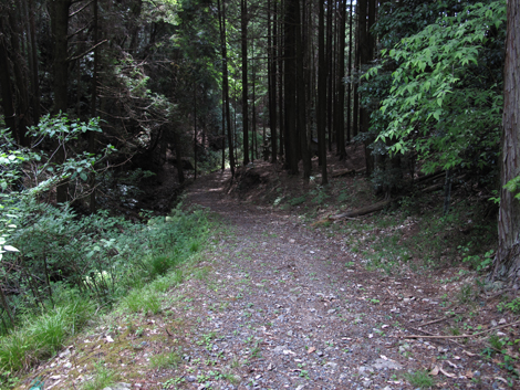 20140524hike (319)